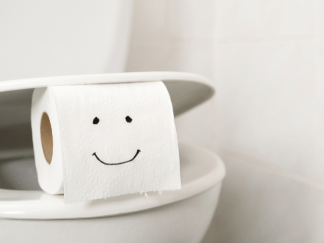 トイレ掃除をこまめにするべき理由