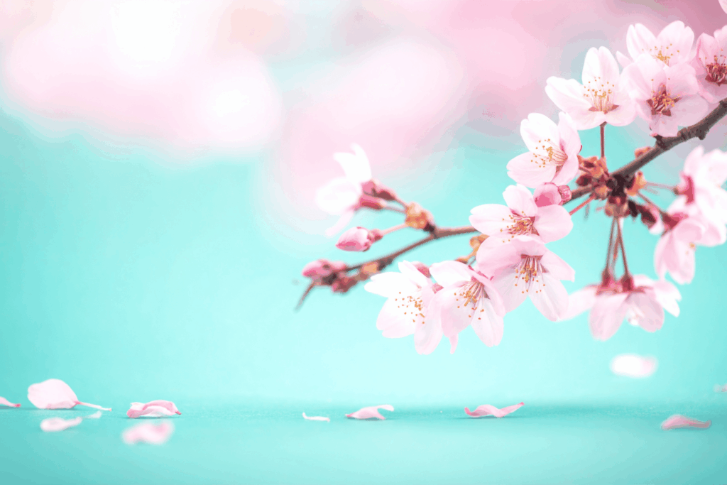 使用頻度で定期的に配置を見直す